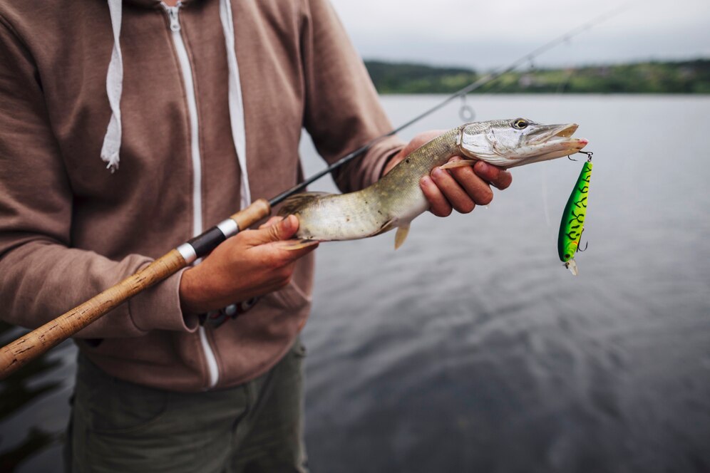 How To Apply For Fishing Quotas In Namibia